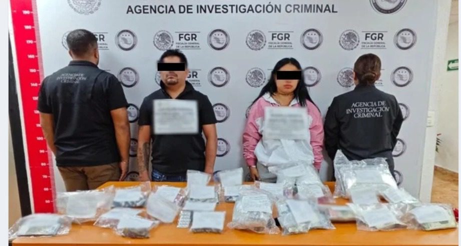 “Operativo de fuerzas federales arrojó el aseguramiento de un “punto de venta y distribución de narcóticos”, así como la detención de dos personas en Progreso