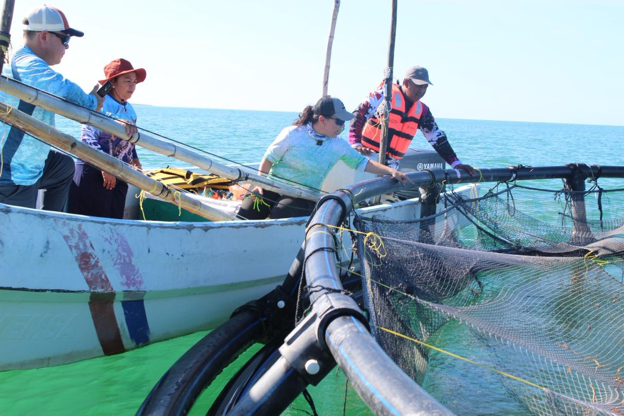 Convoca el Gobierno de Yucatán a pescadoras y acuacultoras al Premio Estatal de Pesca y Acuacultura Ejemplar 2025