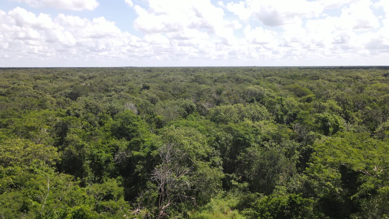 Ayuntamiento de Mérida invita a la ciudadanía a unirse para proteger el futuro de la Reserva Cuxtal mediante donación voluntaria junto al pago del predial