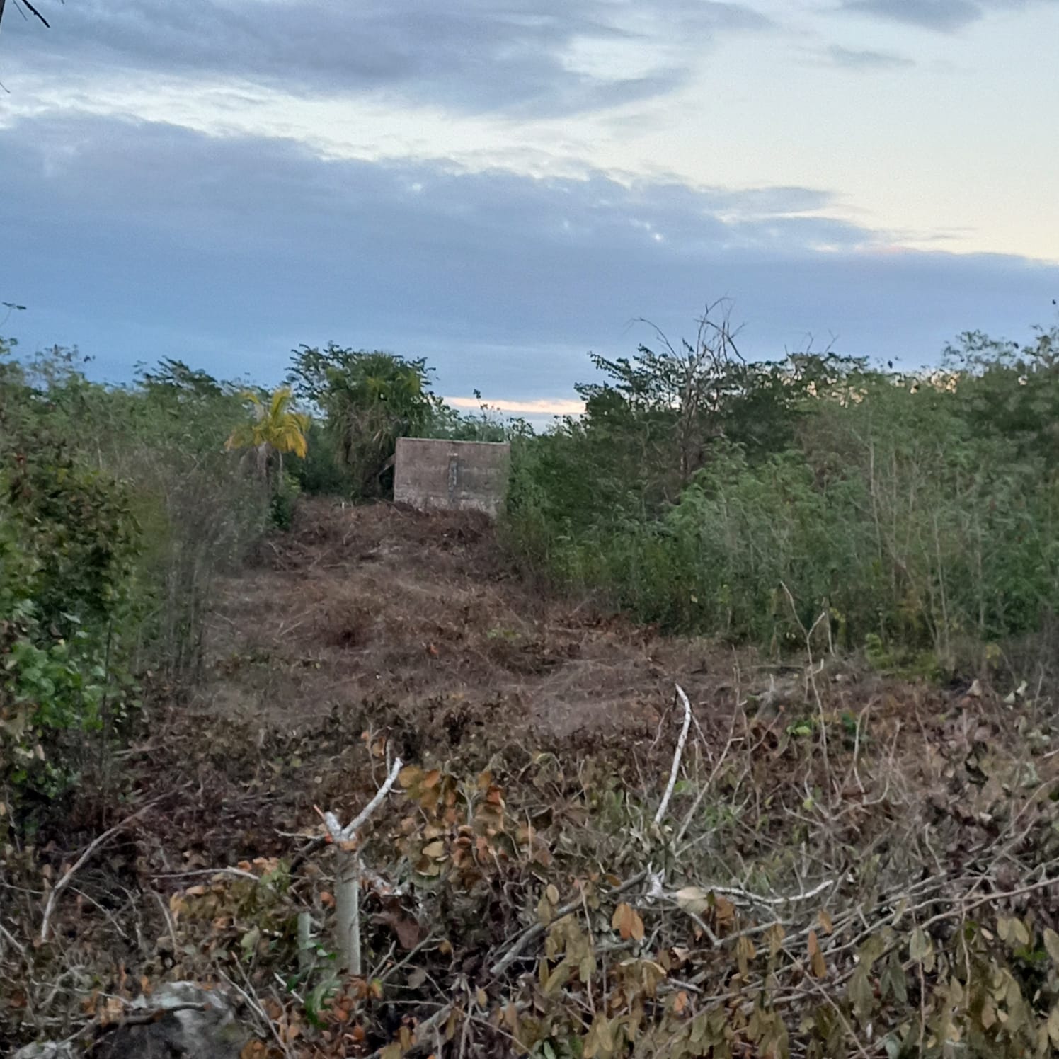 Ejidatarios de Pisté, comisaría de Tinum, nuevamente ponen en riesgo el patrimonio histórico al efectuar, sin autorización alguna, una obra
