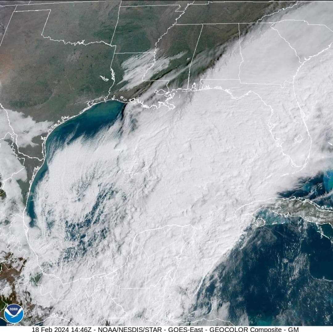 Frente frío #PopOx ya ingresó al Golfo de México / Más de un millón de hogares se encuentran sin electricidad en Estados Unidos y más de 17.000 vuelos han sido cancelados