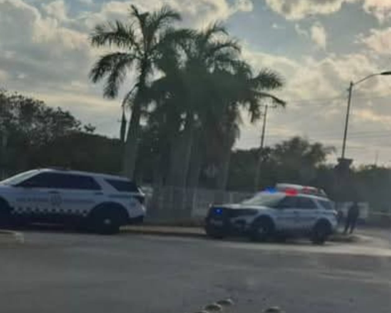 Detenido un militar tras reyerta en el sur de Mérida en un paso peatonal en el que hubo al menos un disparo / No habría respetado paso peatonal