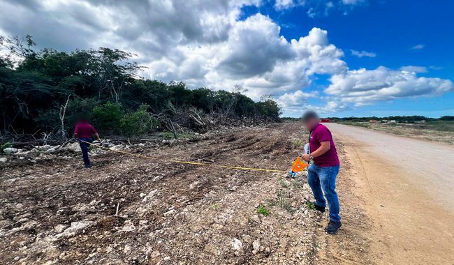 Por incumplimientos en materia de impacto ambiental, la Profepa clausura el proyecto “Ciudad Maderas Península II” en Chelém, Yucatán