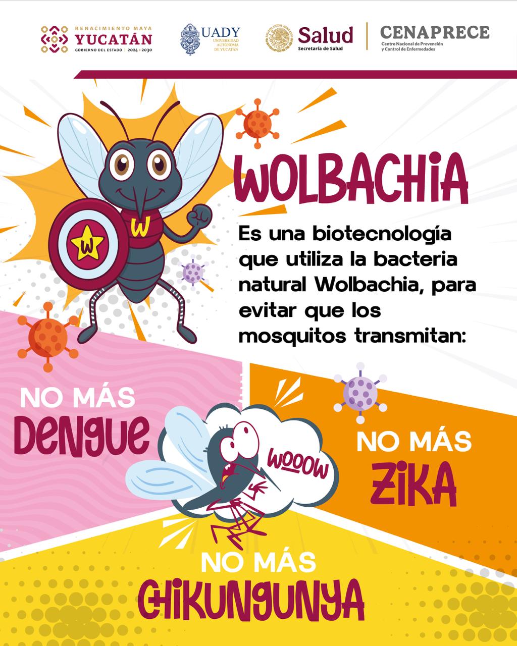 Se entregó a Cuba material biológico que permitirá el desarrollo de mosquitos modificados con la bacteria natural Wolbachia para controlar enfermedades transmitidas por vectores