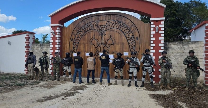 Autoridades estatales y federales realizaron dos cateos el día de hoy domingo en dos predios distintos en Tizimín y Buctzotz