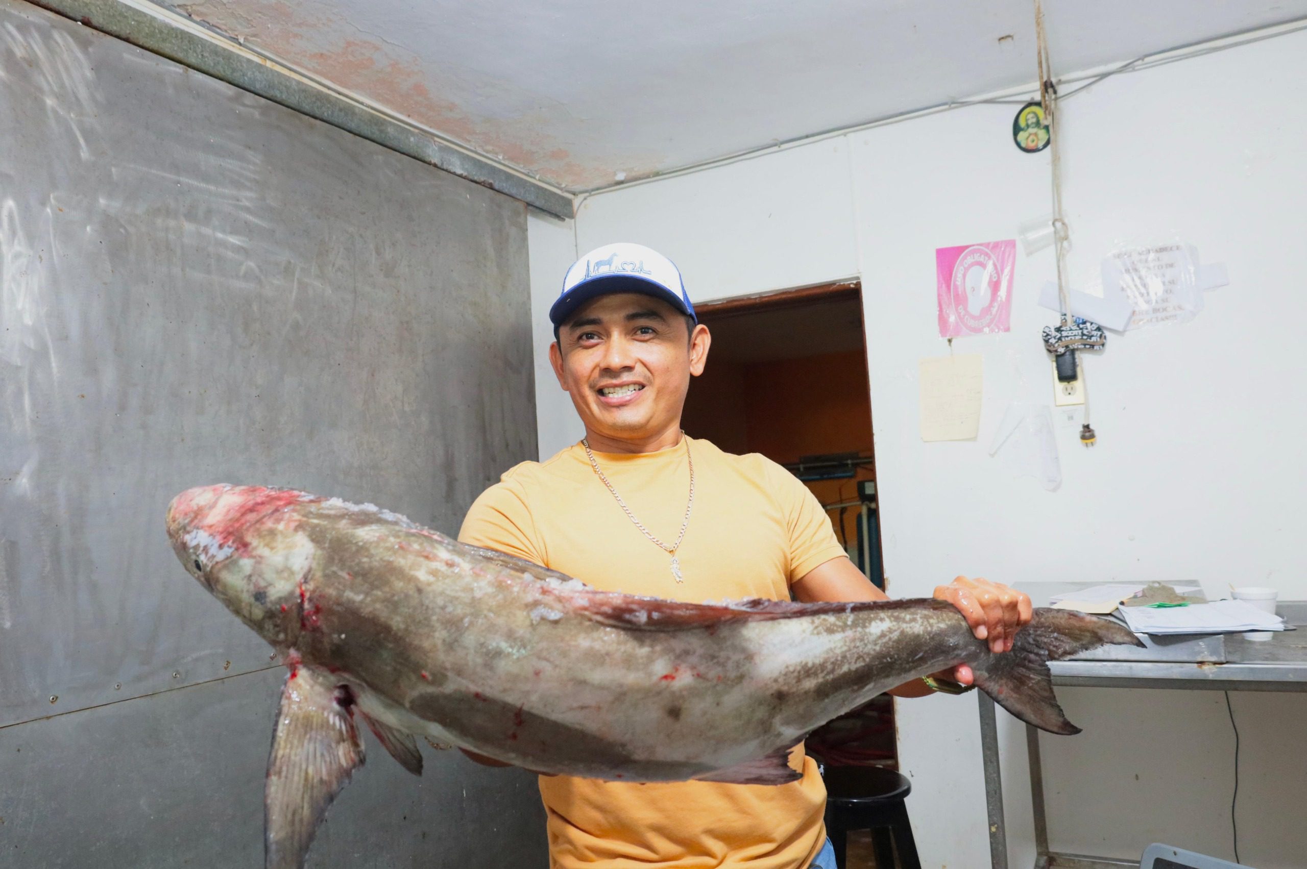 Inició veda en Yucatán: ayer concluyó oficialmente la temporada de pesca del mero en la entidad