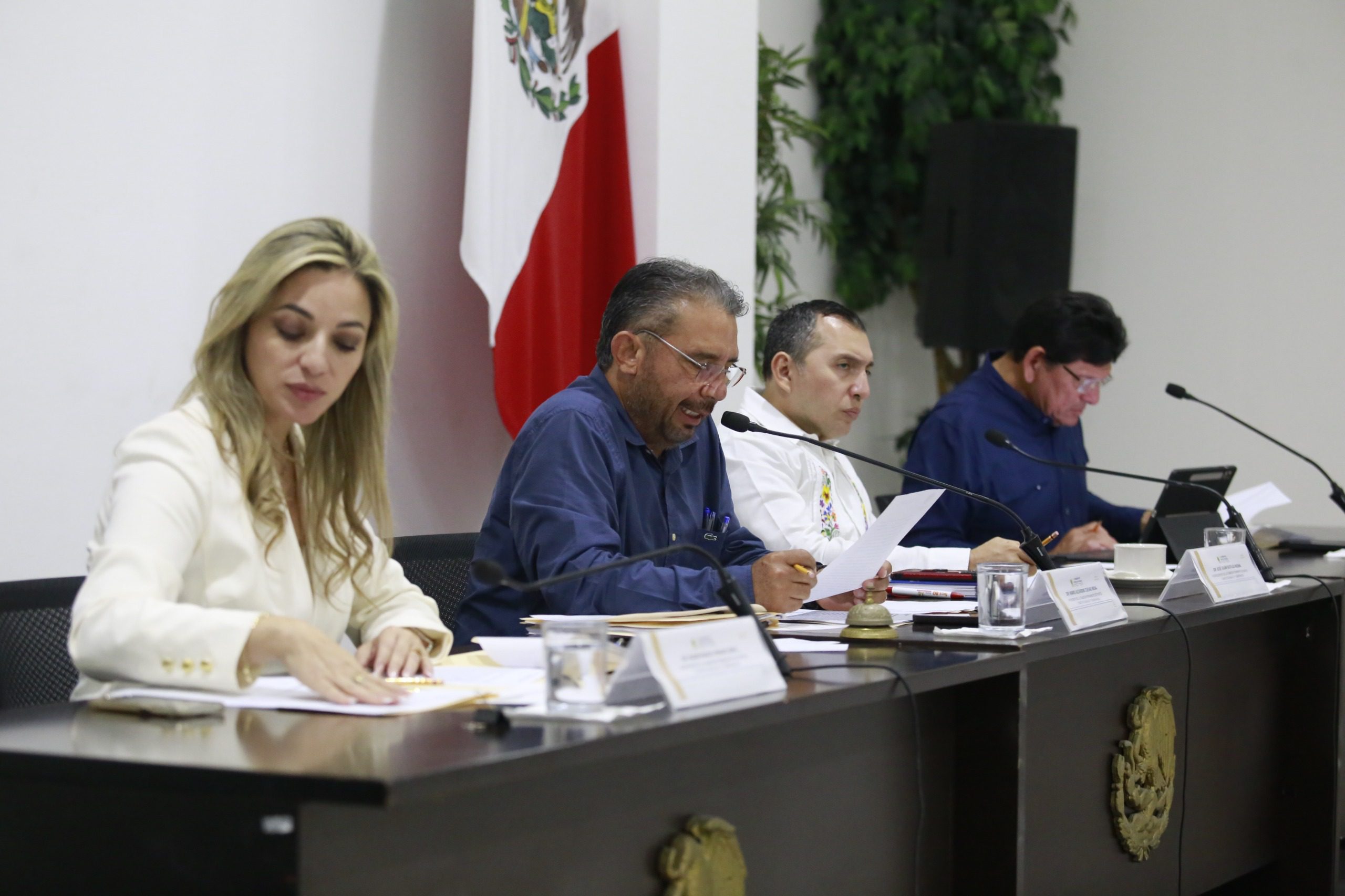 Aprueban en Comisión de Puntos Constitucionales y Gobernación proyecto de decreto sobre reforma constitucional en materia de nepotismo y reelección