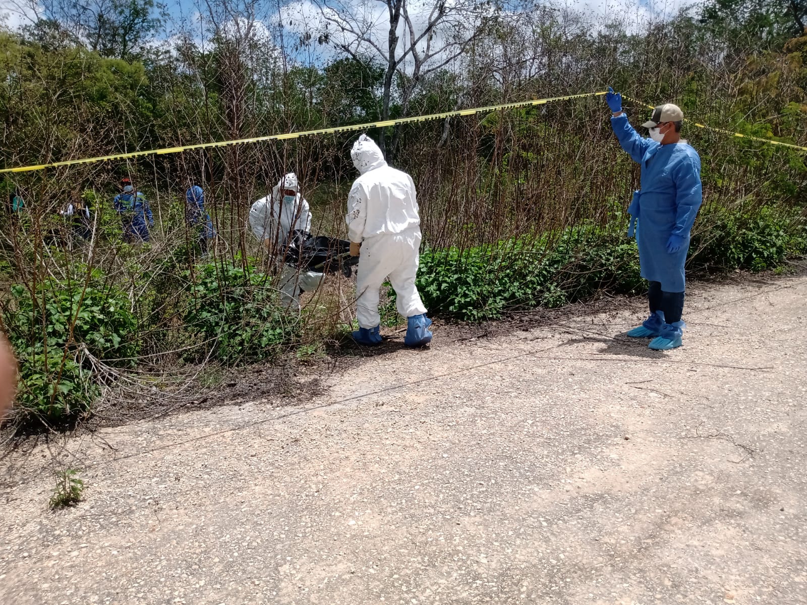Horrenda escena: descubre leñador cadáver de hombre en monte de Ucú devorado por perros y zopilotes