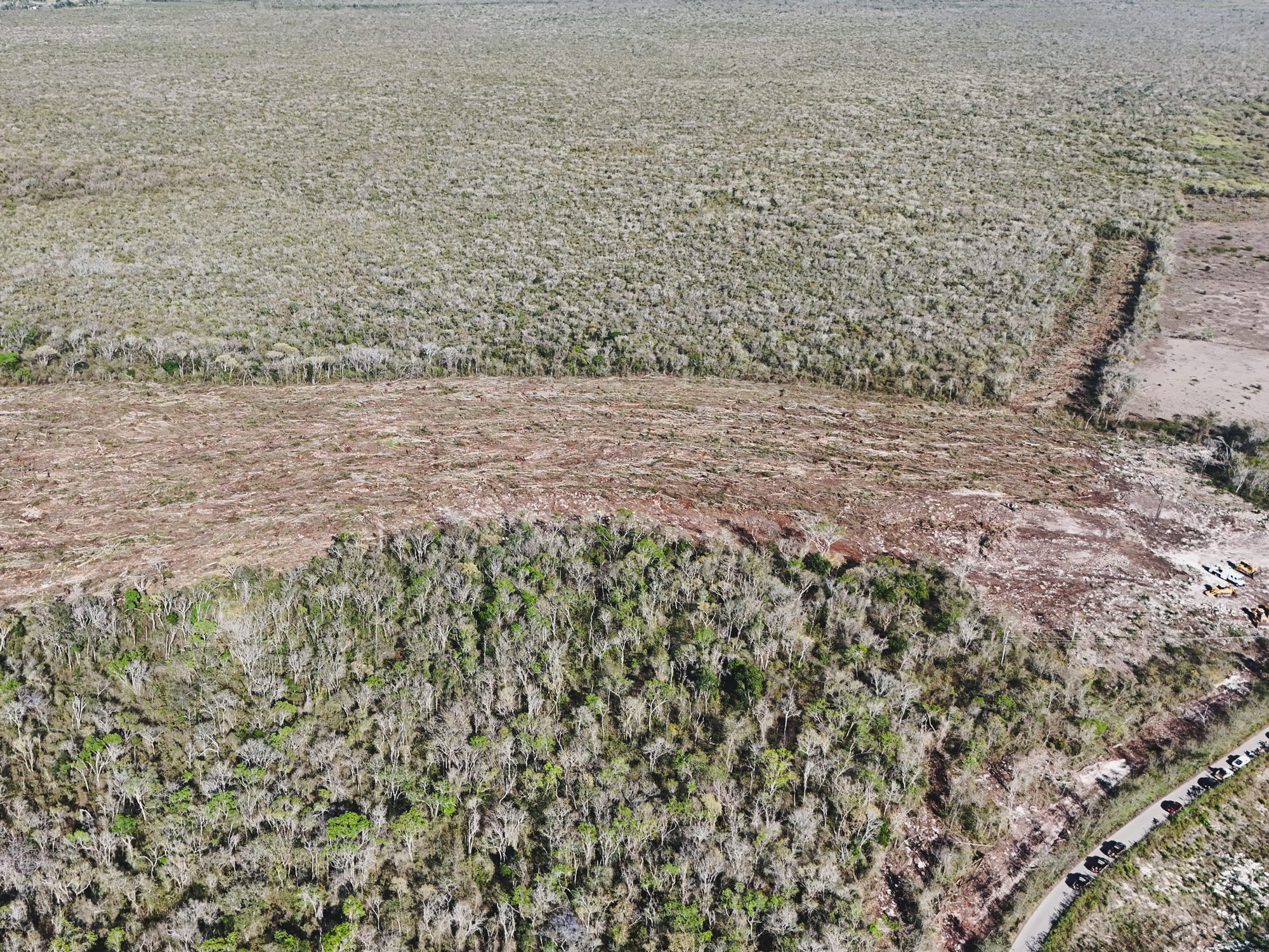 Congreso del Estado de Yucatán designó al ciudadano Carlos Eduardo González Flota como titular de la Procuraduría de Justicia Ambiental y Urbana del Estado