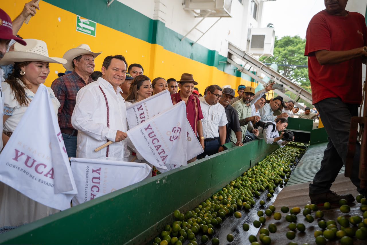 El gobernador inauguró el parque fotovoltaico de la juguera Arpen y puso en marcha la temporada de acopio e industrialización de cítricos en Akil
