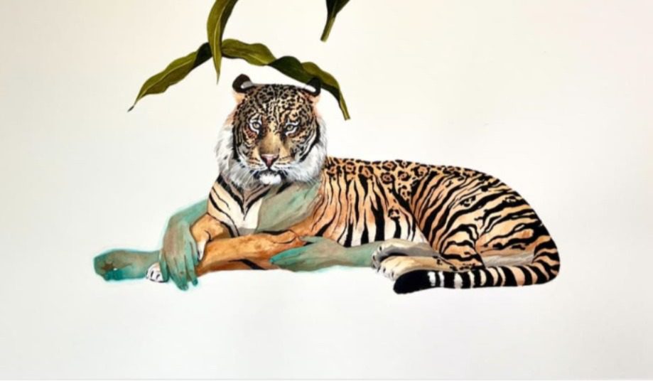 Presentan por primera vez en Yucatán la exposición “Cachorros de Tigre, Un universo posible de dibujo en México” / Obras de Remedios Varo, Juan Soriano, Francisco Toledo, Miguel Ángel Covarrubias