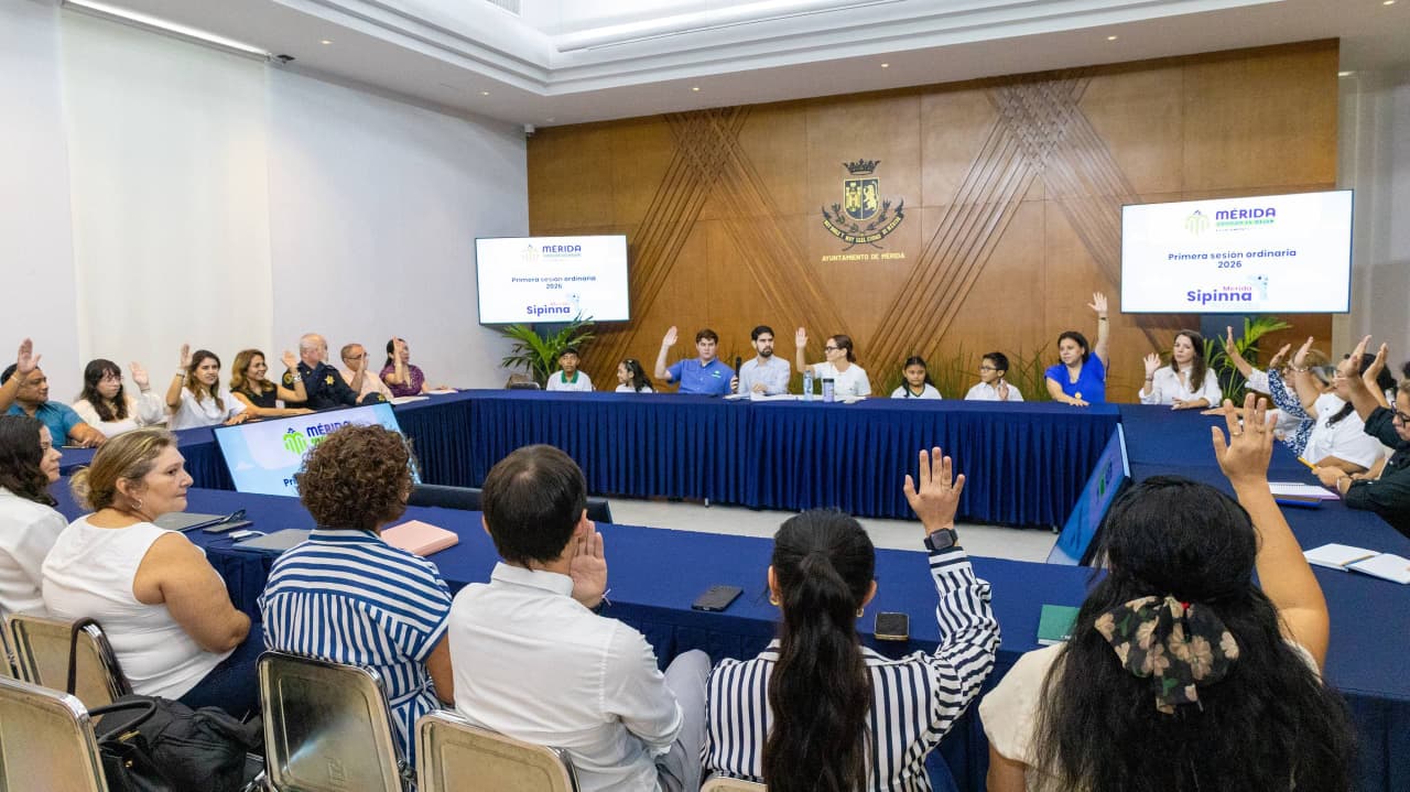 Aprueban proyecto de modificación del Protocolo Municipal de Actuación para los Casos de Infracciones o Delitos Cometidos por Personas Menores de Edad