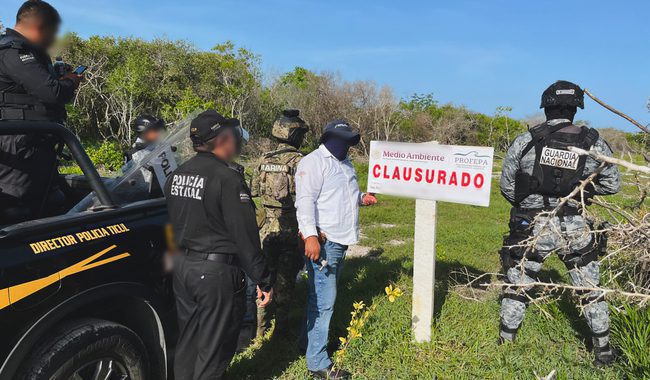 Casi 400 elementos en operativo de inspección de la Profepa en el predio conocido como San Isidro Miramar, ubicado en el municipio de Celestún / Clausuran predios en fraccionamientos irregulares