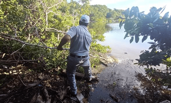 Conagua invita a participar en la Mega Jornada de Limpieza de Ríos y Cuerpos de Agua 2026 / En Yucatán, la jornada se realizará en el Estero Ciénega de Progreso