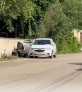 Ayuntamiento de Mérida inicia procedimiento legal contra persona que arrojó bolsas de basura en la calle 27 de Cholul el día de ayer