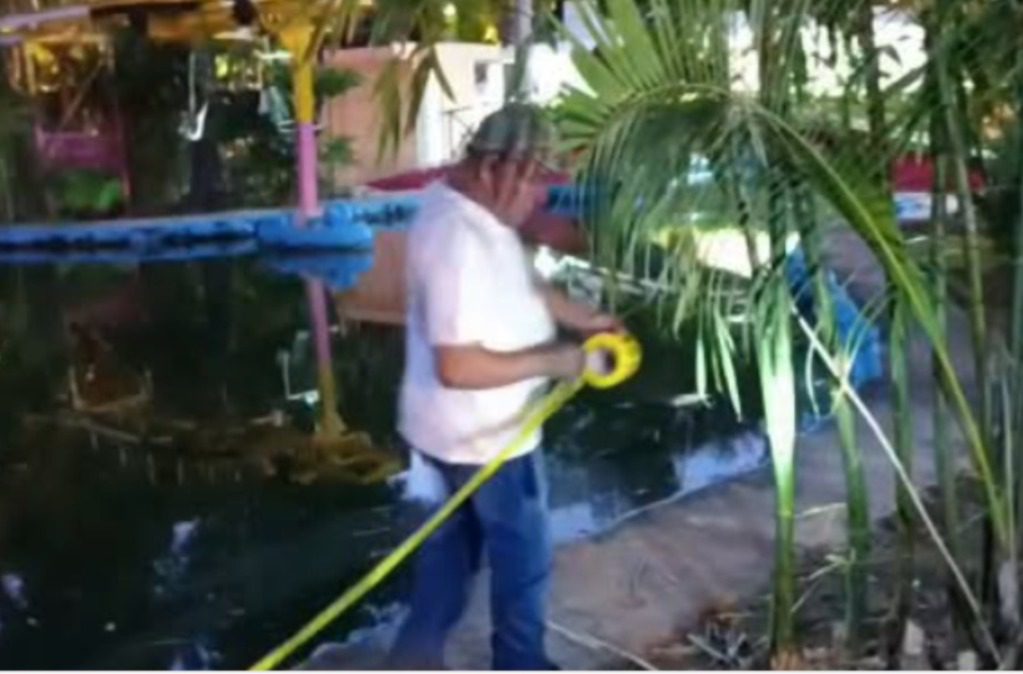 Ayuntamiento de Mérida aplica protocoles preventivos: Hay ameba come cerebros en los lagos artificiales del Parque Zoológico del Centenario y en el humedal del Parque Ecológico del Poniente
