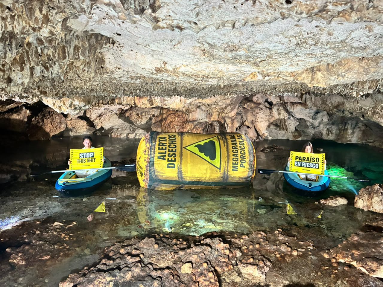 Estudio presentado por Greenpeace revela “mosaico complejo de contaminación orgánica severa” en cenotes de Yucatán que puede tener origen humano y animal, de granjas de pollos y cerdos, entre otros