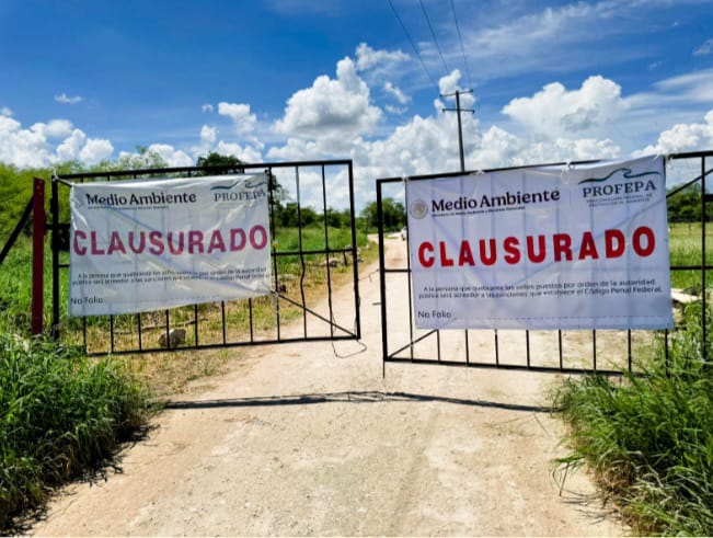 Yucatán acumula multas por 105.8 millones de pesos contra empresas del sector porcícola / Kekén y autoridades reportaron avances en la modernización de sus sistemas de tratamiento de aguas residuales, dice Profepa