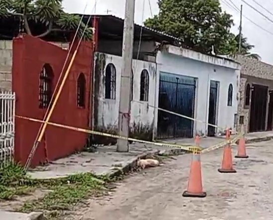 Cable que provocó muerte por descarga eléctrica a perro en el fraccionamiento Juan Pablo II era una instalación de hace 40 años del Ayuntamiento de Mérida